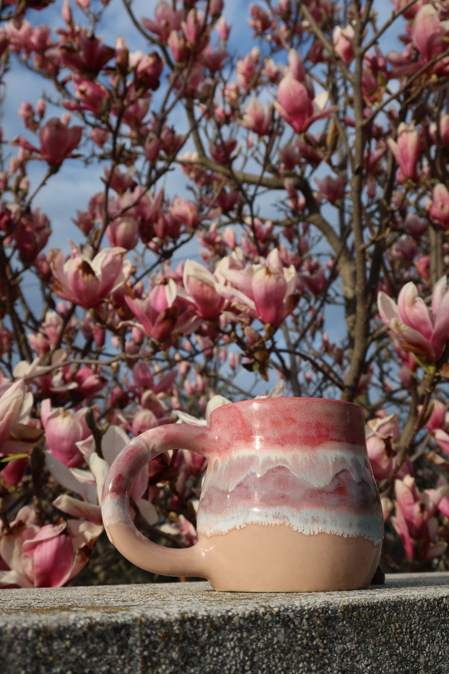 cherry blossom mug 🌸
